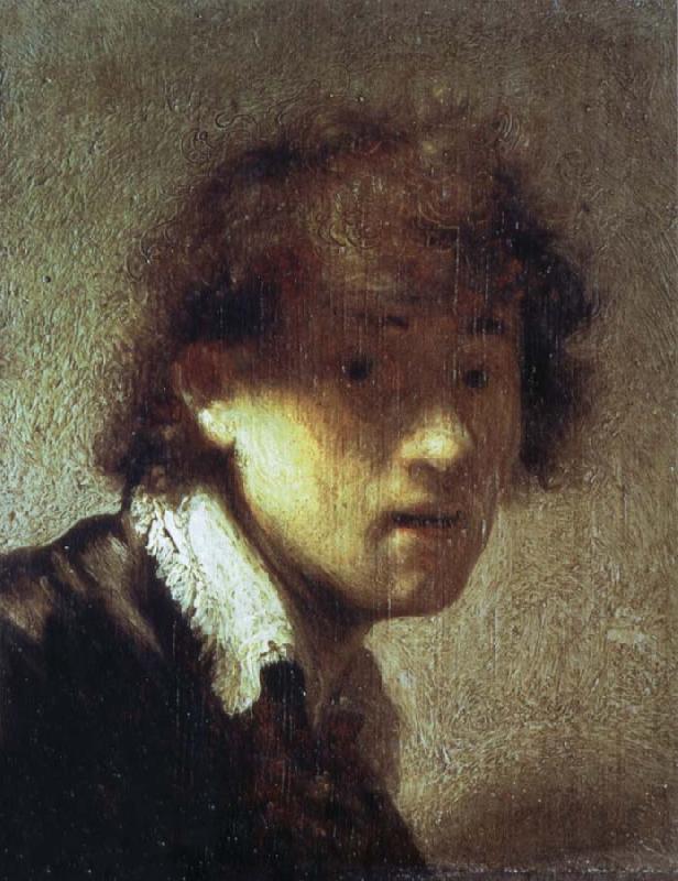 REMBRANDT Harmenszoon van Rijn Self-Portrait as a Young Man oil painting image